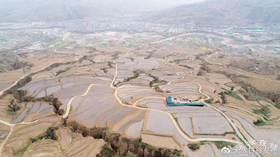 近期竞价推广模块化搭建您的网络平台:安全、稳定与用户体验的平衡刘耀文满分薄肌男