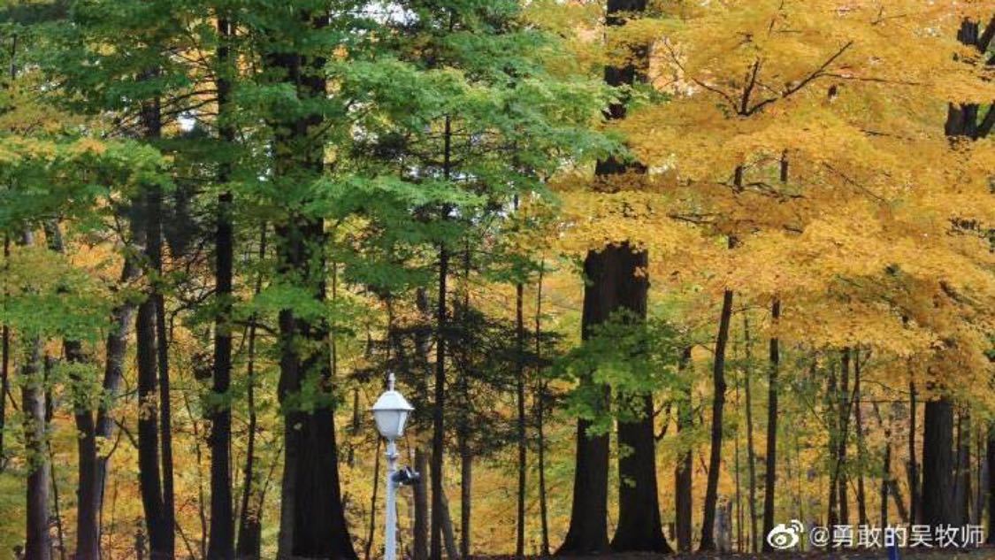 dy最低价自助下单平台