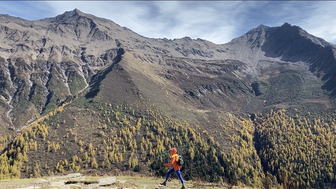 最新全域推广灵活化配置您的订单系统,开启你的营销新时代,岁留守女童遭亲戚猥亵老人不追究